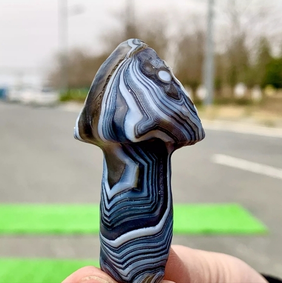 40G RARE Natural Blue Gobi Agate Eye Gemstone Hand Carved Mushroom Madagascar - Picture 6 of 13